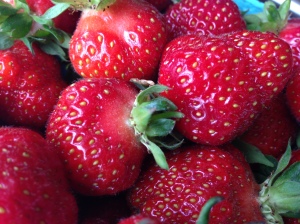 Fresh Strawberries from Stults' Farm in Cranbury, NJ