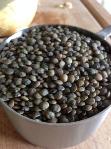 French Puy green lentils