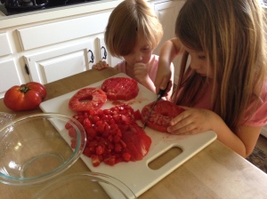 Cutting tomatoes for gazpacho