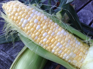 Fresh Jersey corn - nothing better